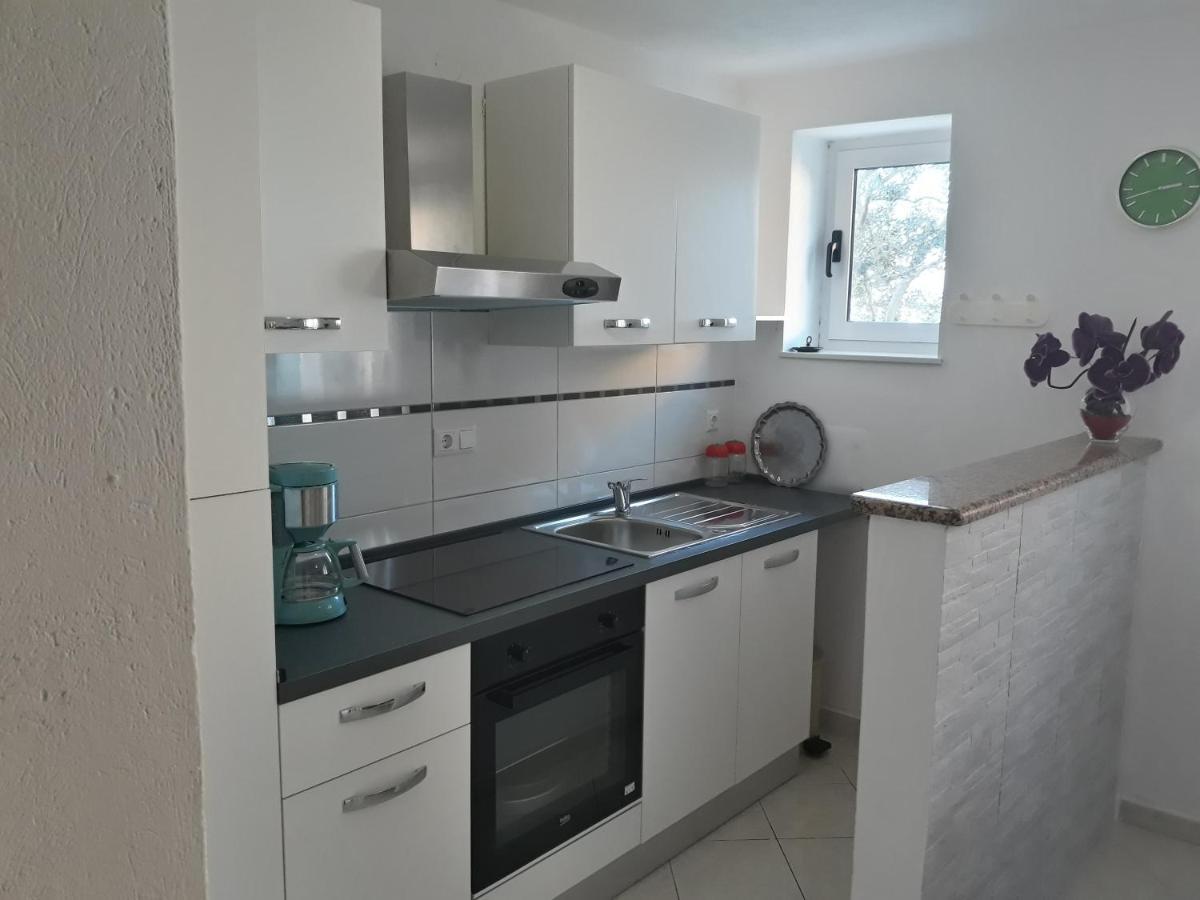 טרוגיר Apartment Miletic מראה חיצוני תמונה